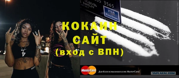 мет Алексин