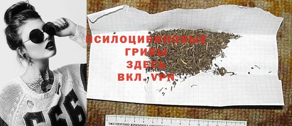 СК Арсеньев